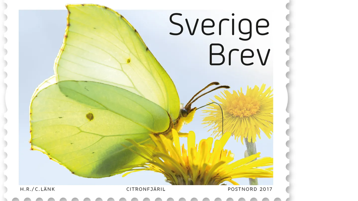 Fjäril