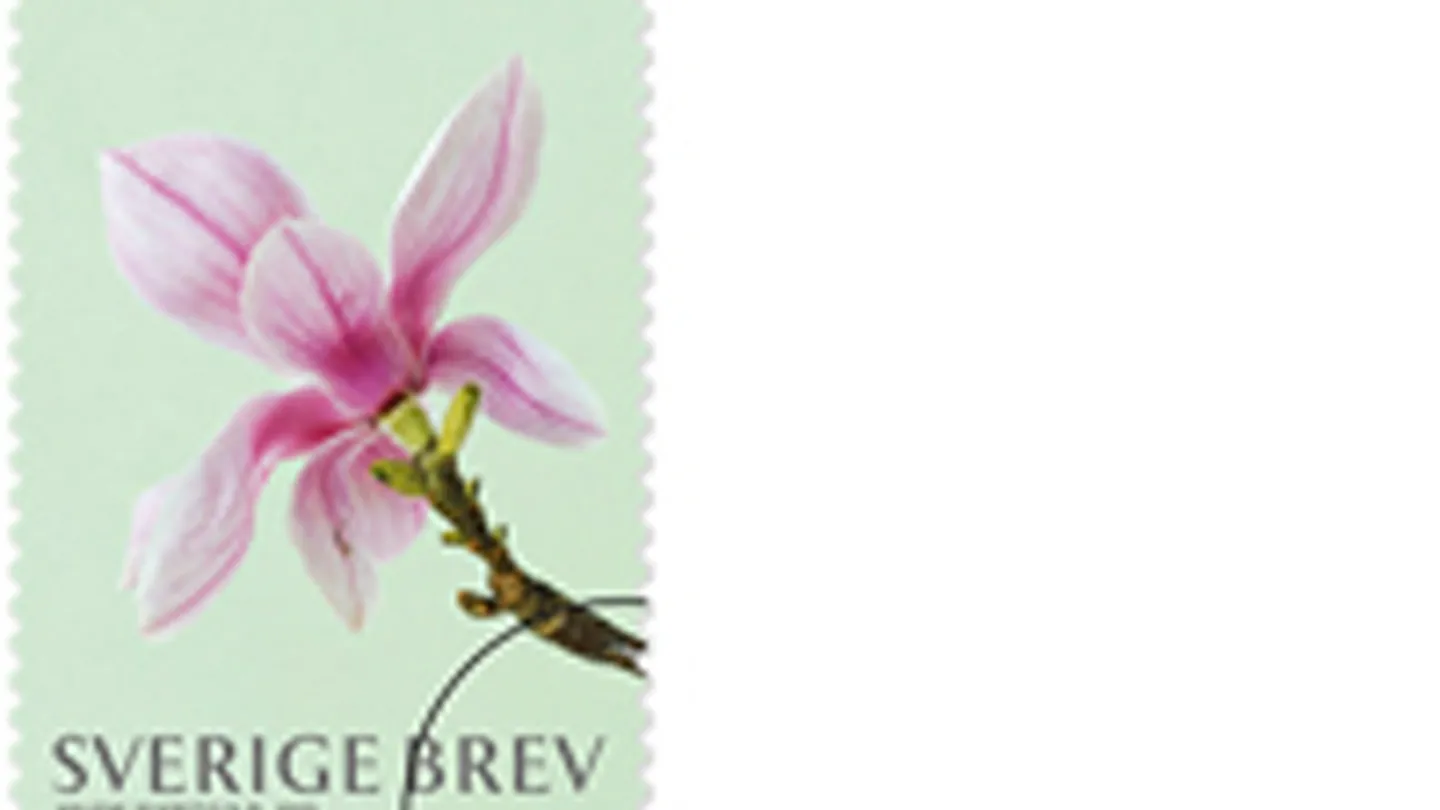 Magnolior